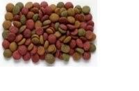 Zinken van huisdiervoedsel visvoer pellet maken Twin Screw Extruder Machine voor Pellet Plant