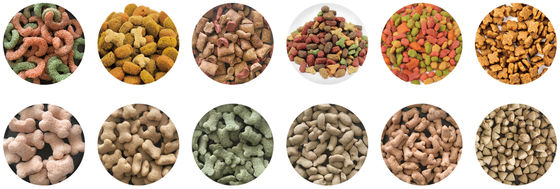 1200 kg per uur Drijvend visvoer Huisdiervoedsel Pellet maken Verwerkingsmachine voor voedsel