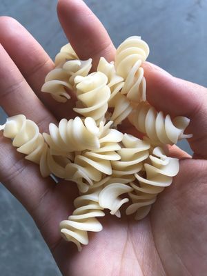 Macaroni-pasta-machine van roestvrij staal voor voedsel om aan de behoeften van klanten te voldoen