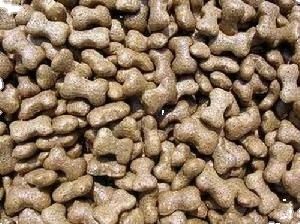 Duurzaam voedsel kwaliteit roestvrij staal visvoer pellet maken machine voor kleine huisdierenvoer