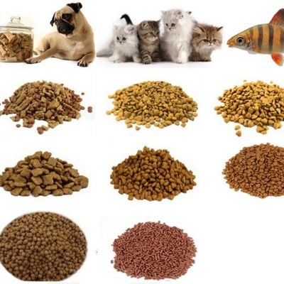 Voedsel 150 kg/uur Capaciteit Vissvoeder Pellet maken Verwerkingsmachine voor droog klein diervoeder