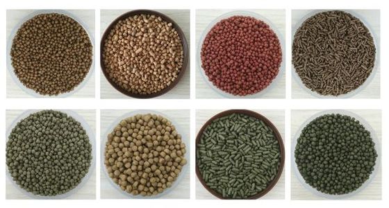 Siemens Motor Twin Screw Floating Fish Feed Extruder Machine Machinery Manufacturing