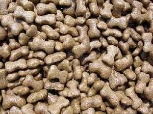 Productielijn voor het maken van hoogcapaciteits extruder van roestvrij staal automatisch hondenvoer voor huisdieren