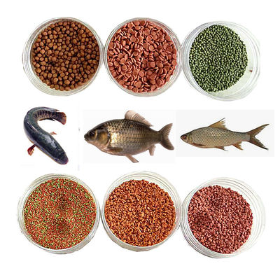 Yuzen Balik Yemi Pelet Makinesi Floating Fish Feed Pellet Machine met ABB-omvormer