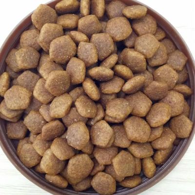 Kleine uitrusting voor het extruderen van pellets voor het voeden van honden met een droog stamboom met delta-omvormertechnologie