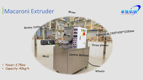 Automatische machine voor het maken van pasta en macaroni met CE-certificering