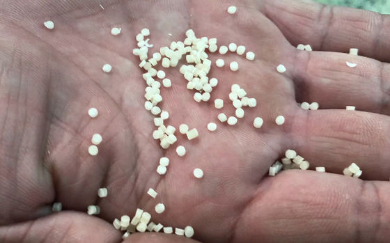 Kleinschalige macaroni-machine met een capaciteit van 50 kg/uur en een gemakkelijke bediening